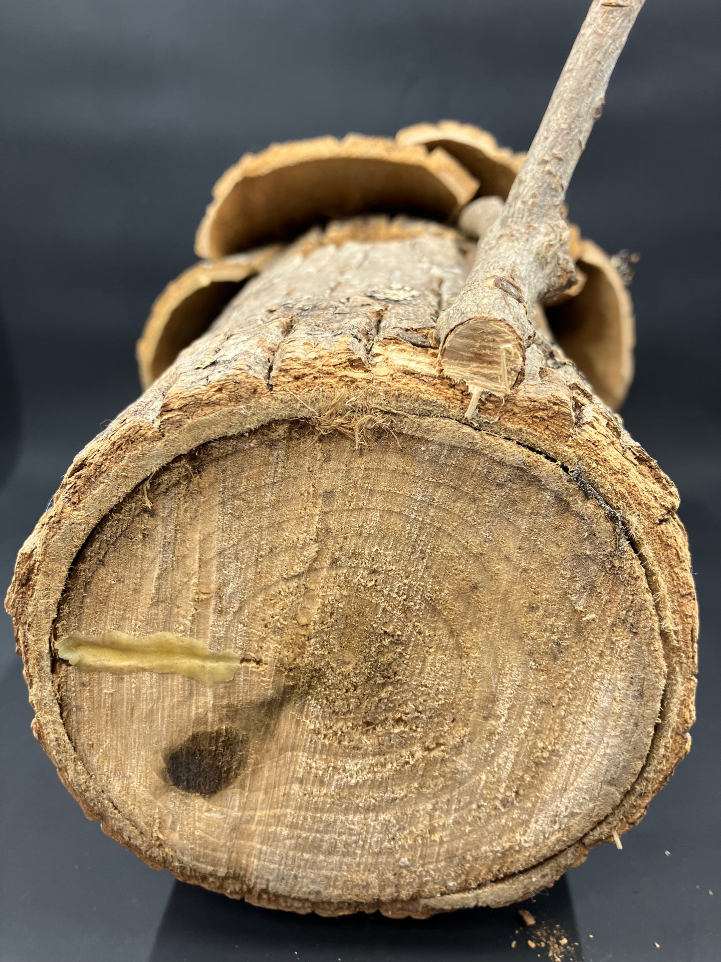 Handmade Bark Birdhouse with Cardinal Figurine