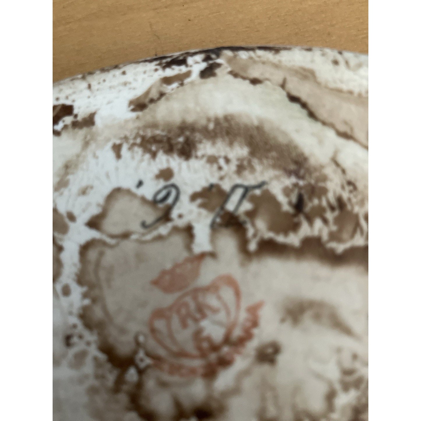 Antique Pirkenhammer Rkg Porcelain Plaques